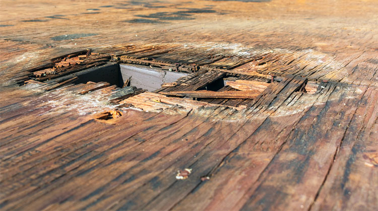 water damaged plywood